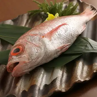 のどぐろ炙り造り