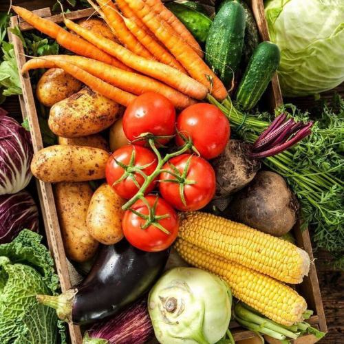 野菜、食べ放題!サラダバーで旬をチャージ!