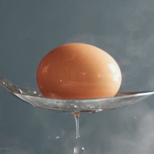 + Soft-Boiled Egg Topping / + 반숙 달걀 토핑