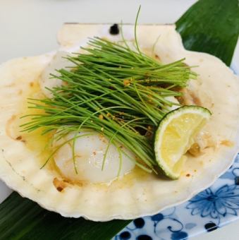 扇贝