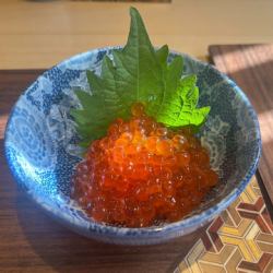 【ご飯のお供】追いいくら