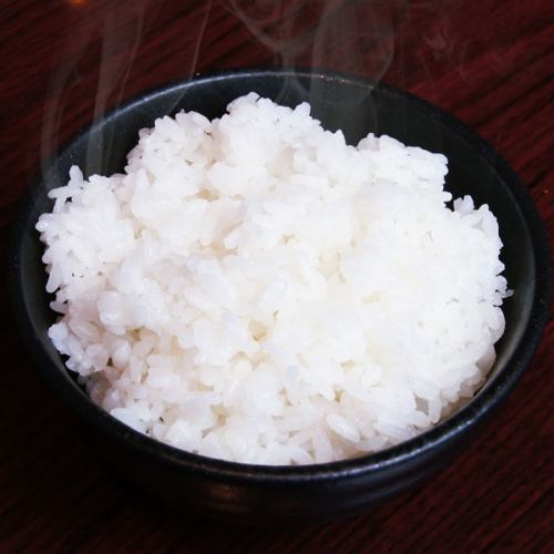 Rice (single item)