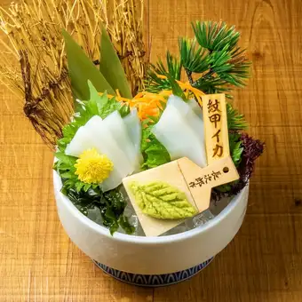 紋甲イカ