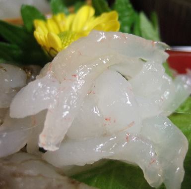 White shrimp sashimi