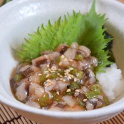 たこわさび