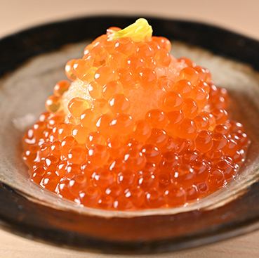 ■1日2組限定【厳選日本酒含む2.5時間飲み放題付】《至高の黒松コース・スペシャル》10品14500円