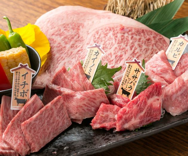 た に やん 明石