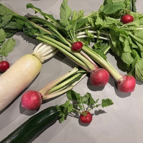 【石山駅徒歩5分】落ち着いた店内の創作野菜酒場!系列店はきんぎょ。各種宴会にも!