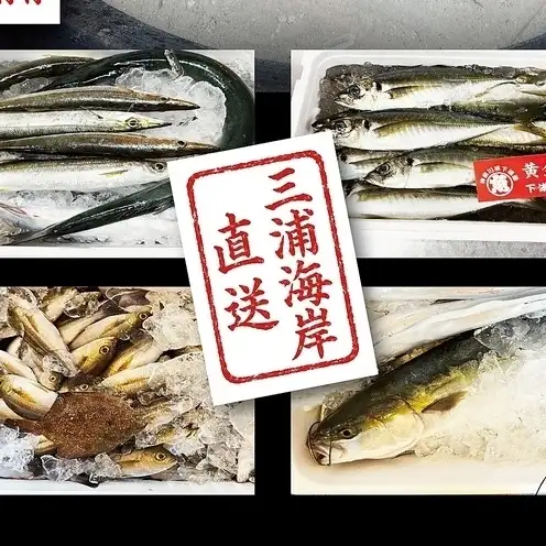 三浦海岸から直送