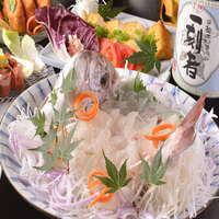 "Odo-ODOU-Course" Ultimate Binchotan Grill and Toyosu Fresh Fish Sashimi (8 dishes in total, 3 hours all-you-can-drink included) 4980 yen → 3980 yen