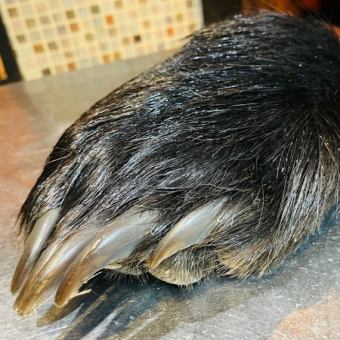 「これを食べないで死んだらもったいない・・」まるごと熊の手鍋コース　　なくなり次第終了です