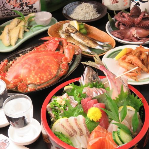 【名物の数々】鮮魚は豊浜漁港より直接買い付け！！自慢の名古屋料理も！！