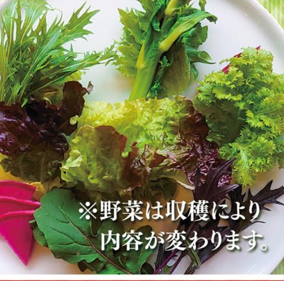 旬野菜の無農薬サラダ