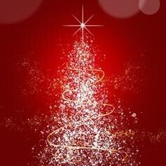 12/24、25限定!! (飲み放題付き)クリスマススペシャルコース お1人様7500円2名様から 全7品