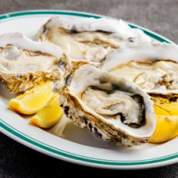Raw oysters and grilled oysters