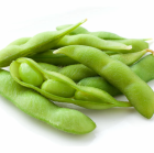 枝豆