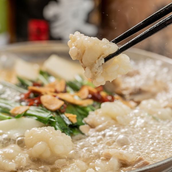 【おすすめ】もつ鍋!!この季節に食べたいあったかもつ鍋！和モダン個室・掘りごたつ個室完備★