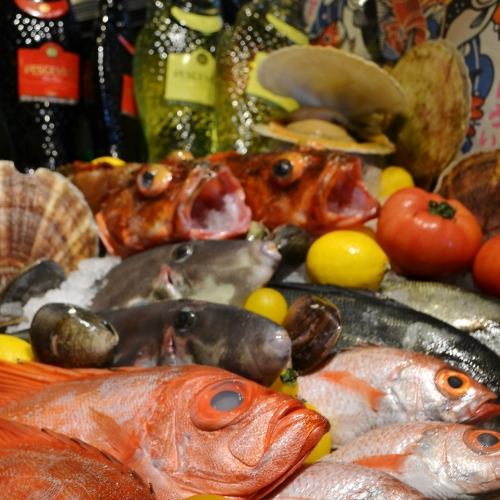 Seasonal seafood from Marche!