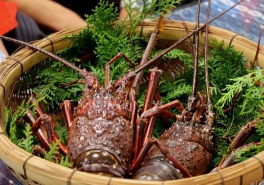 [October only] Wild spiny lobster course/October to end of October