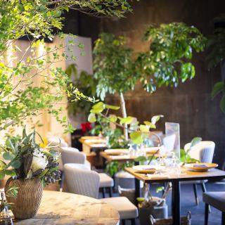 緑に包まれた空間♪シンプルでありながら調和がとれた装飾品、絶妙な明るさのライティングがお料理とお酒、会話を引き立たせます。