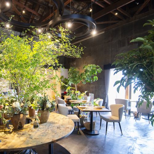 リラックスできる館内