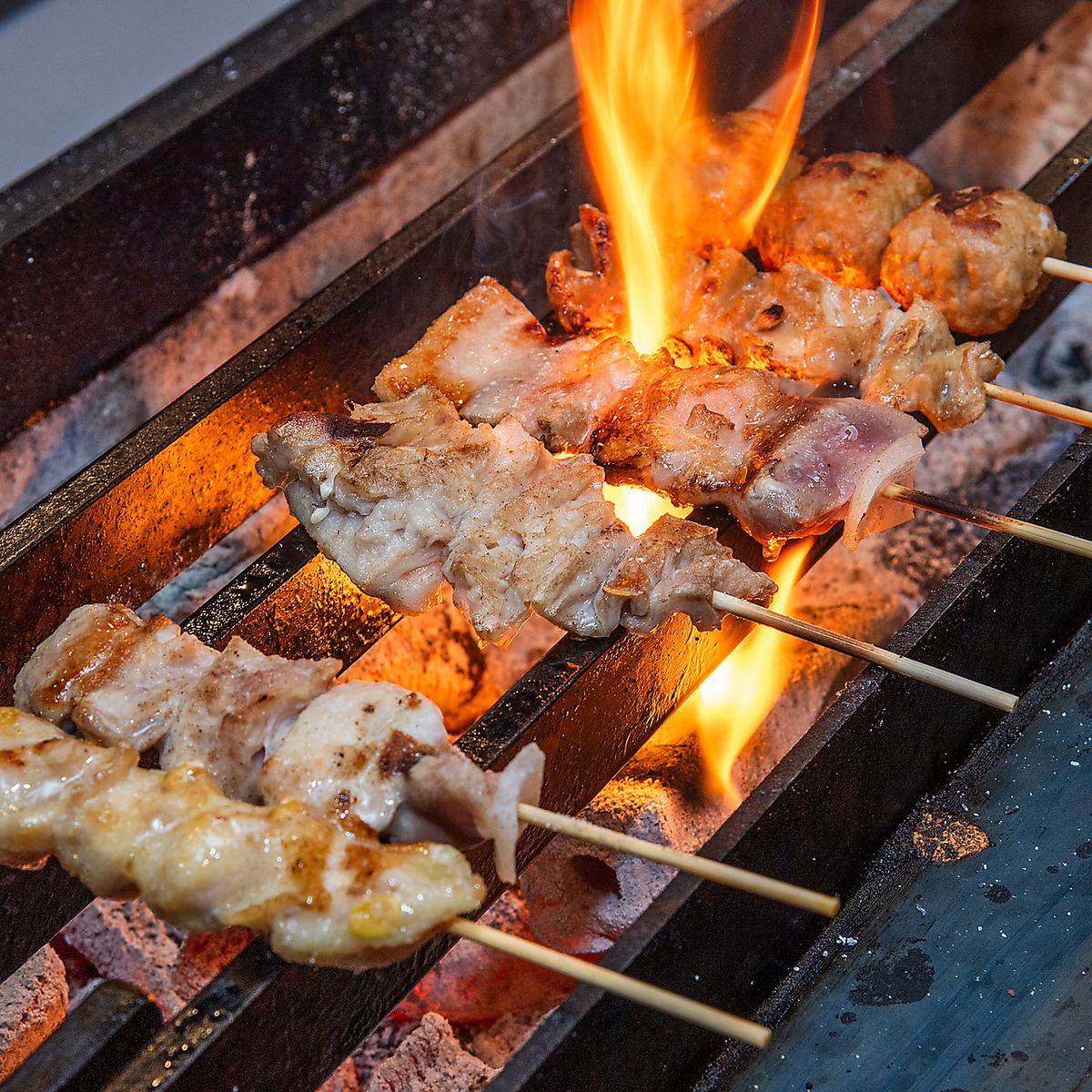 翌27時まで営業~伝統の焼鳥やお酒にピッタリな一品が楽しめる横綱!