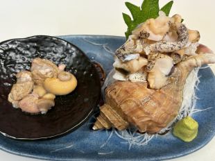 ツブ貝刺身
