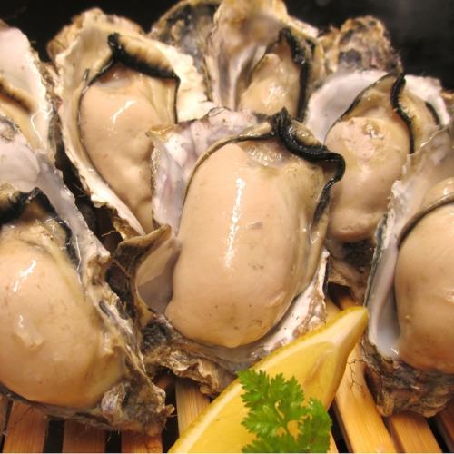 Steamed Akkeshi oysters (7 pieces)