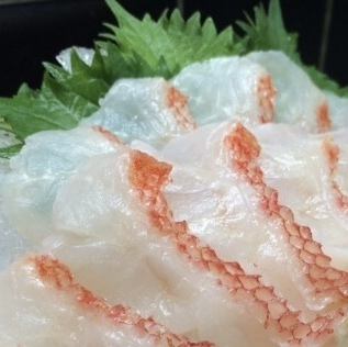 羅臼産きんき刺身