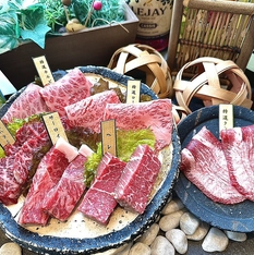 平日限定！90分食べ飲み放題♪