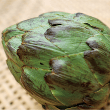 【瑞々しく甘みのある味わいが特徴】北海道野菜