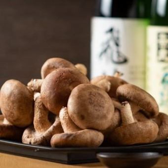 [북해 농장 직송】 초대형 표고 버섯 통구이