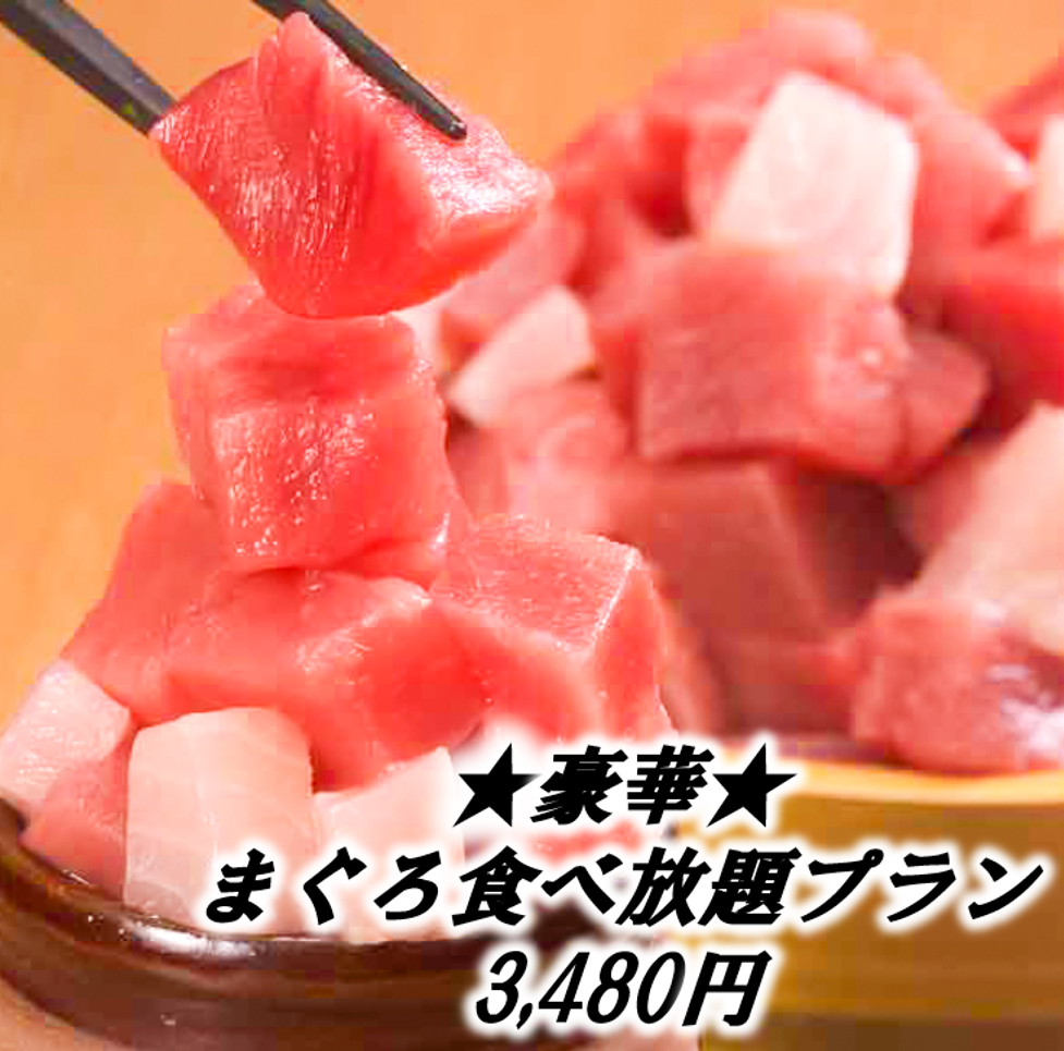 2H飲み放題＆全7品まぐろブツ刺身『まぐろ尽くしコース』3,480円