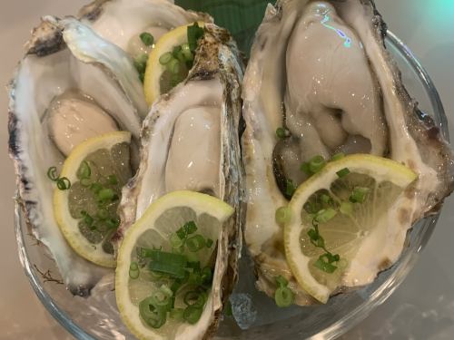 [Oysters from Senposhi] Oysters from Senposhi