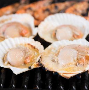 2 scallops with shells