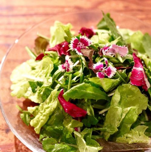 最低10種類混ぜた旬の葉野菜サラダ