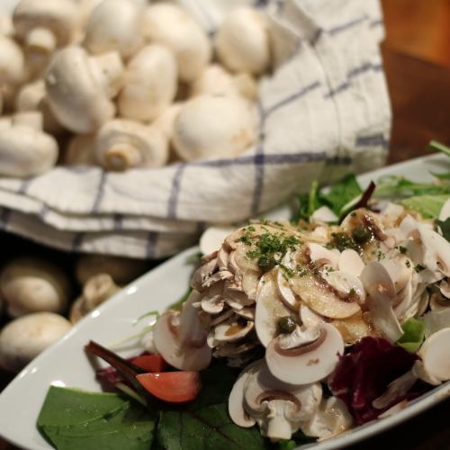 fresh mushroom salad