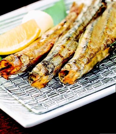 Grilled Shishamo