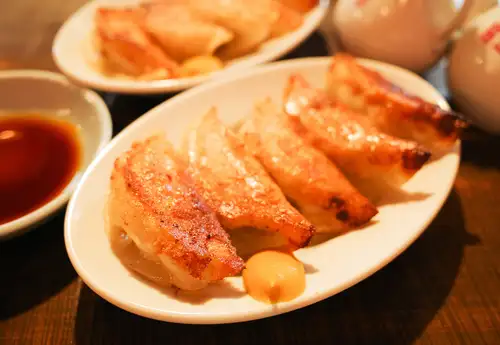 とらちゃん焼ぎょうざ