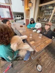 【テラス席】テラス席は愛犬と一緒にお過ごしいただけます。お散歩の帰りなどに気軽にお立ち寄りください！ワンちゃんもゆったりと過ごせる広々空間です◎