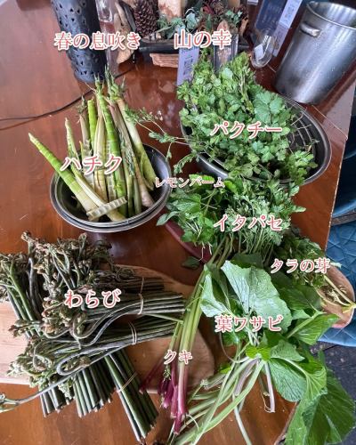ブルディルマーレの春の山菜パスタ

春の息吹を感じる、ブルディルマーレの季節限定パスタ。
ハチク、タケノコ、わらび旬の山菜を贅沢に使い、ほろ苦さと香りが引き立つ一皿に仕上げました。
シンプルなオイルベースや白ワインソースで、素材本来の味わいを活かしています。山の恵みの春だけの特別な味わいを、ぜひお楽しみください。

📍広島市中区立町6-1 ウイングビル1階　0822490007 ◆広島レモンを使った最強レモンサワー ◆ぷりぷり広島牡蠣を堪能。 ◆昼から飲める 路面店で、気軽に立ち寄れる洋食レストラン。 ✴︎営業時間✴︎ 火曜〜金曜15時〜21時半ラストオーダー 土曜日曜日12時〜21時半ラストオーダー 月曜日定休日+不定休有 ご予約0822490007 #広島グルメ  #広島レストラン #広島ランチ  #広島観光  #hiroshima #レストラン