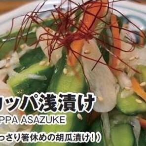 【自家製】カッパ浅漬け