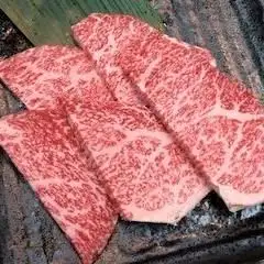 도치기 와규 토모 삼각