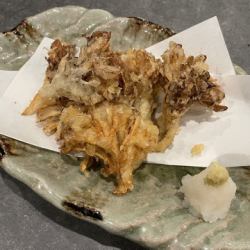 Maitake Tempura