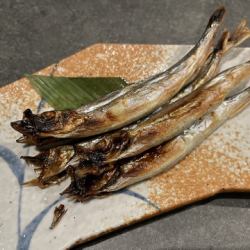 Sashimi