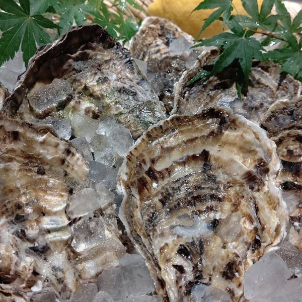 音戸産の殻付き牡蠣、小イワシ…広島名物いろいろ！