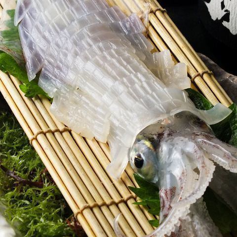 Live squid sashimi