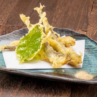 Shishamo Tempura