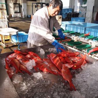 茶蔵の魚は愛媛県の新鮮朝獲れ鮮魚を毎日仕入れて使っております。