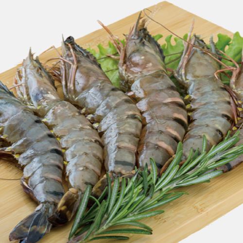 Delivered directly from the fishing port! Extremely fresh seafood
